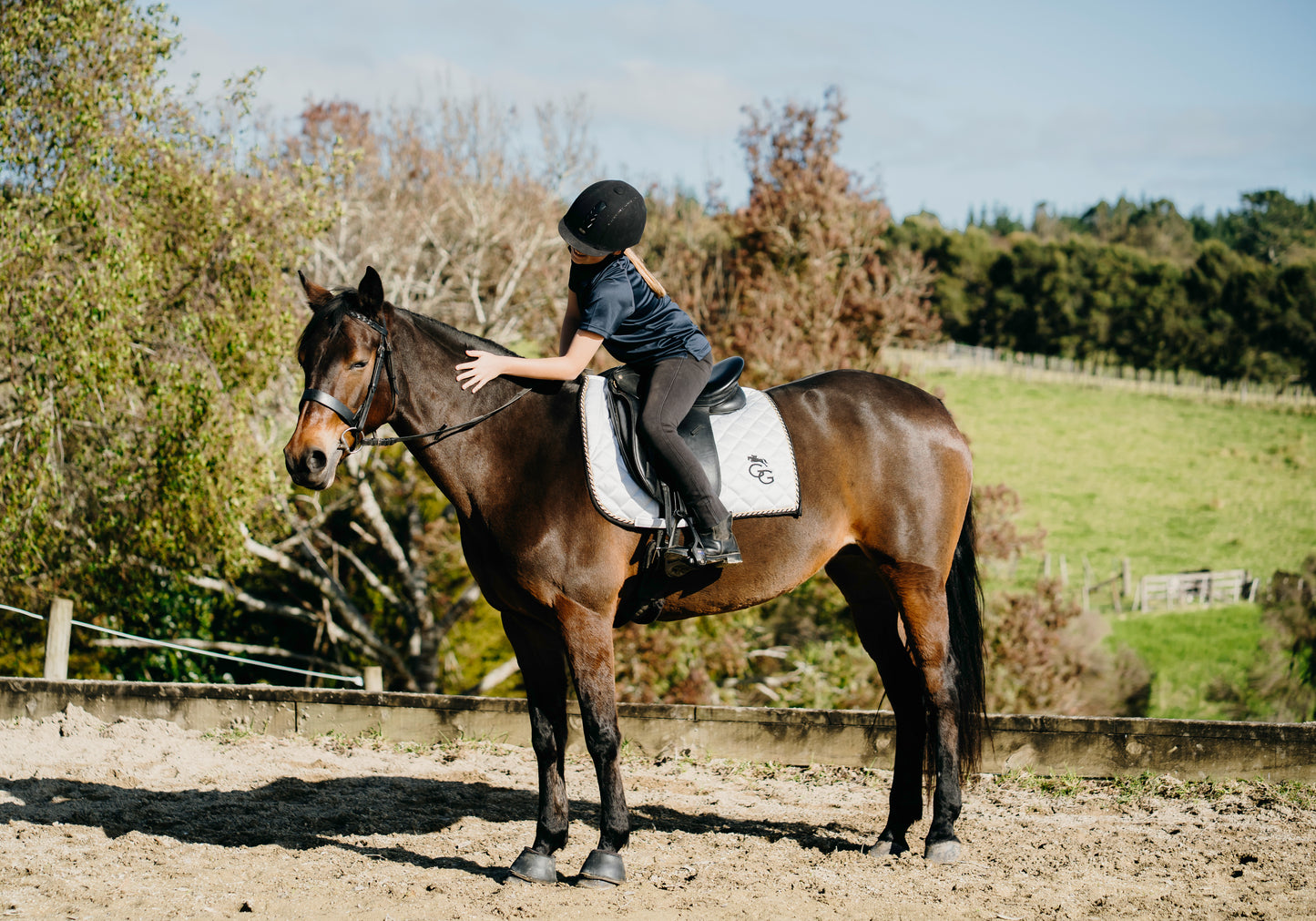 Dressage Pad