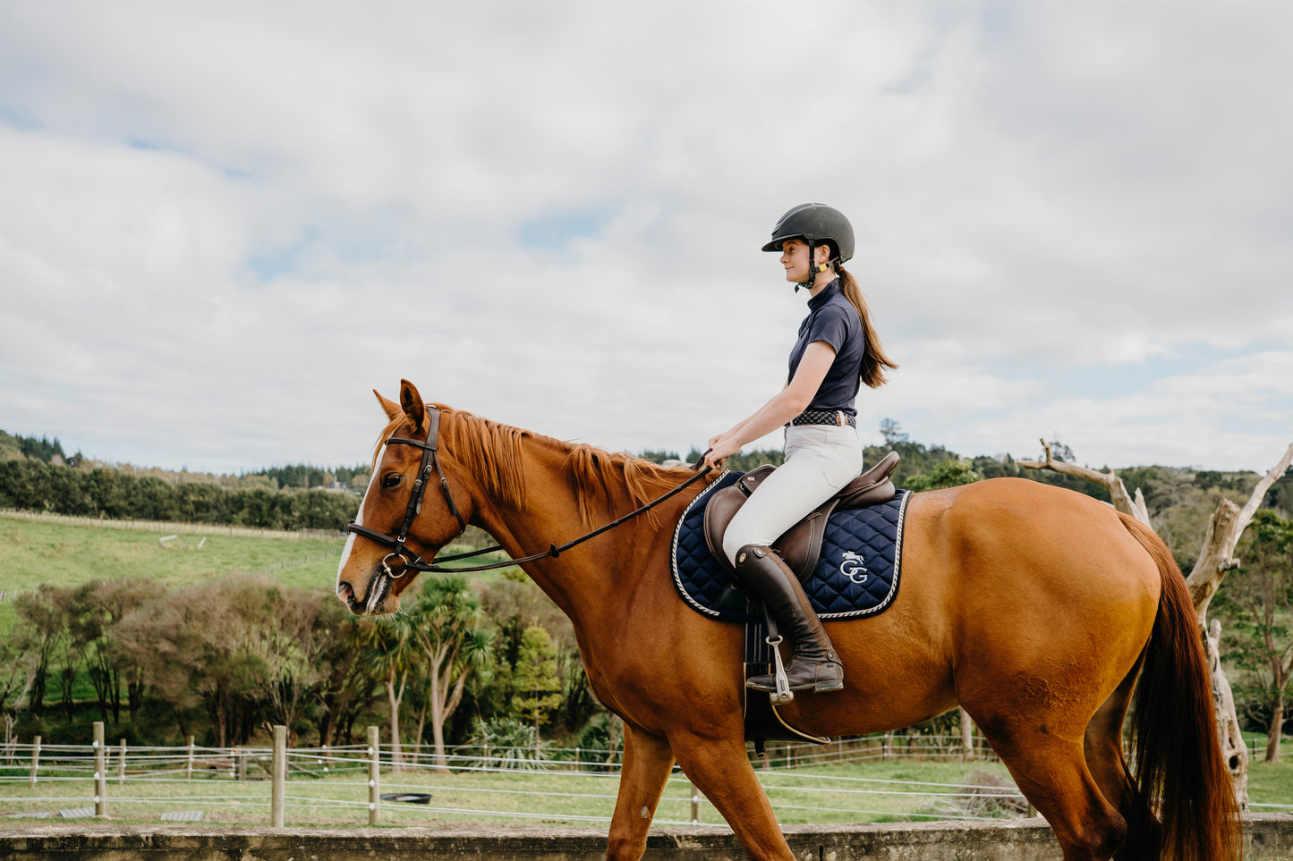 Saddle Pads - Navy Blue
