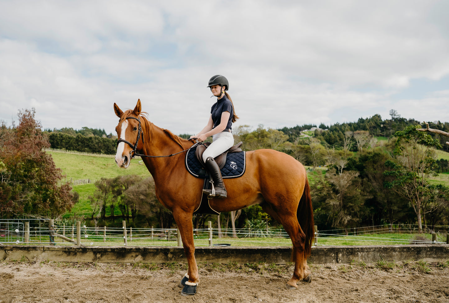 Saddle Pads - Navy Blue