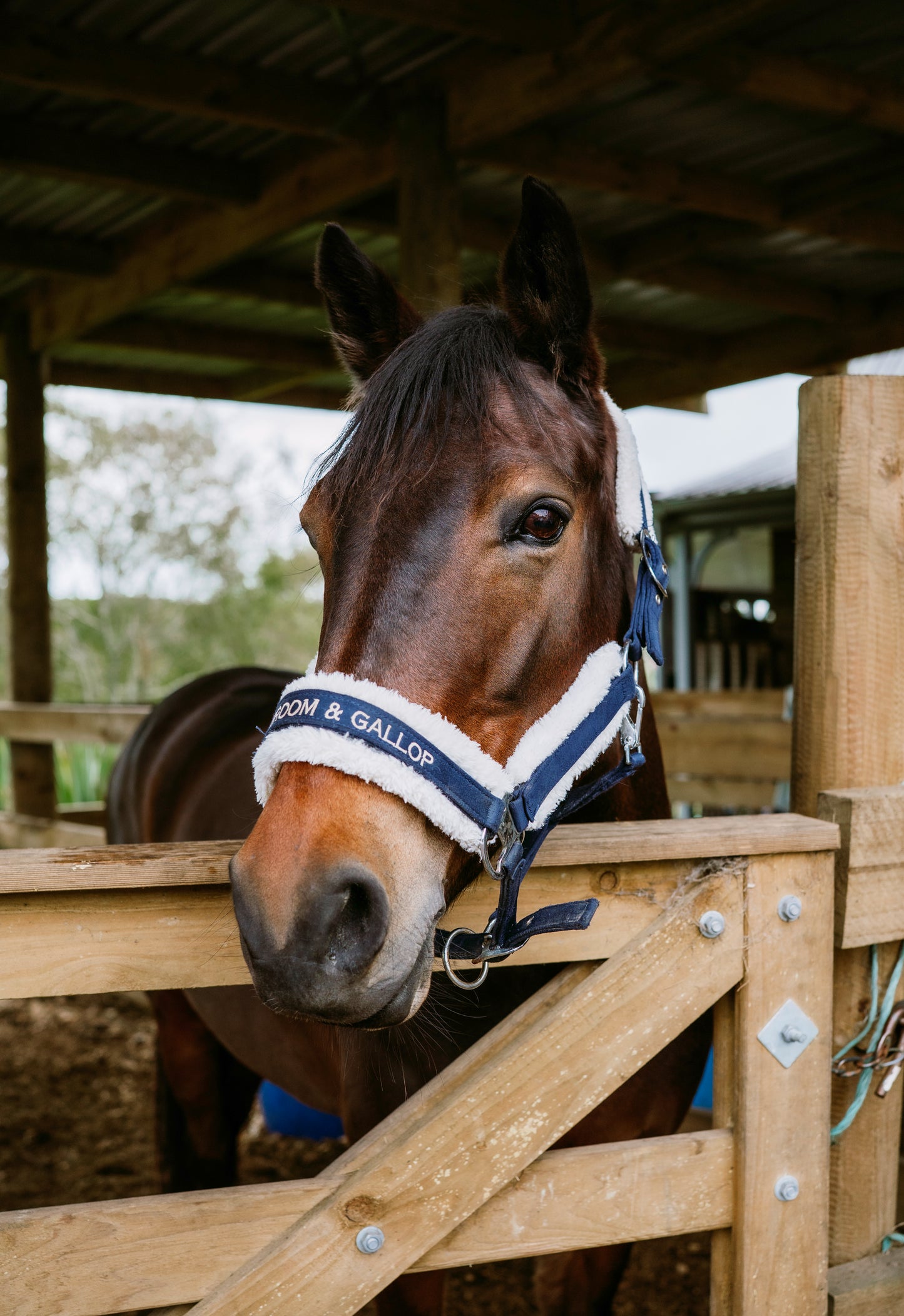 Halter - Navy Blue