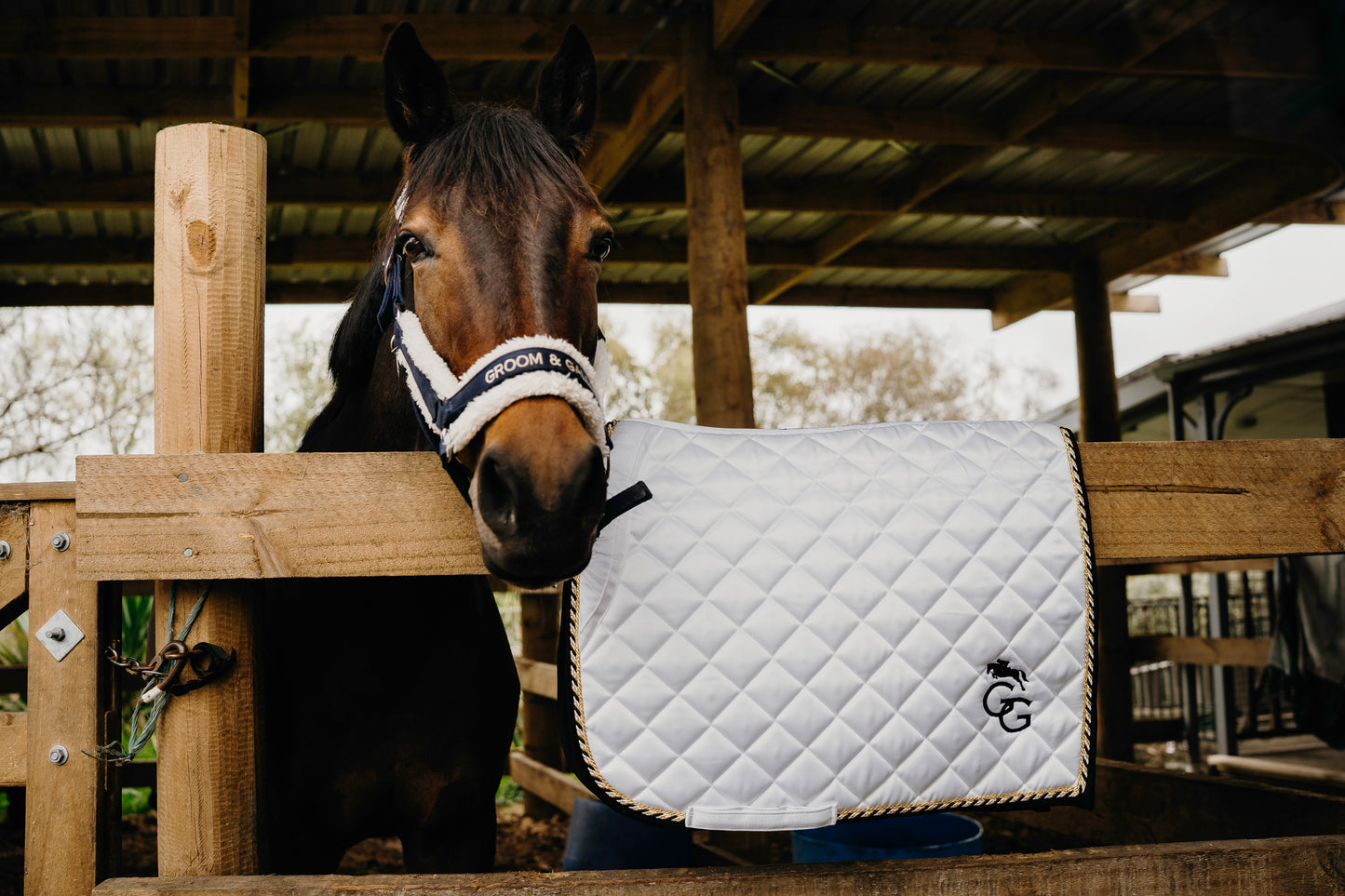 Dressage Pad