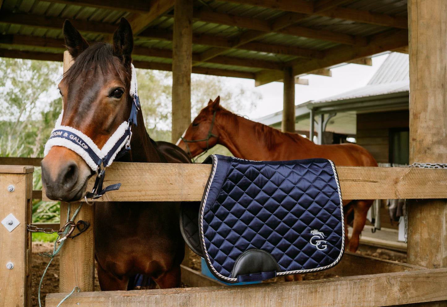 Saddle Pads - Navy Blue
