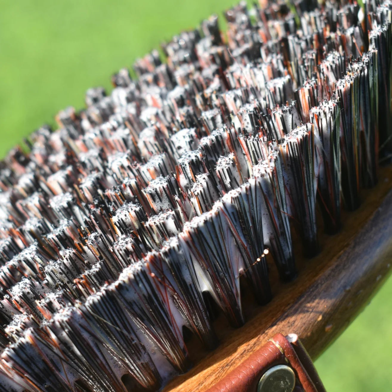 Eco Horse Brush & Stuff Wash