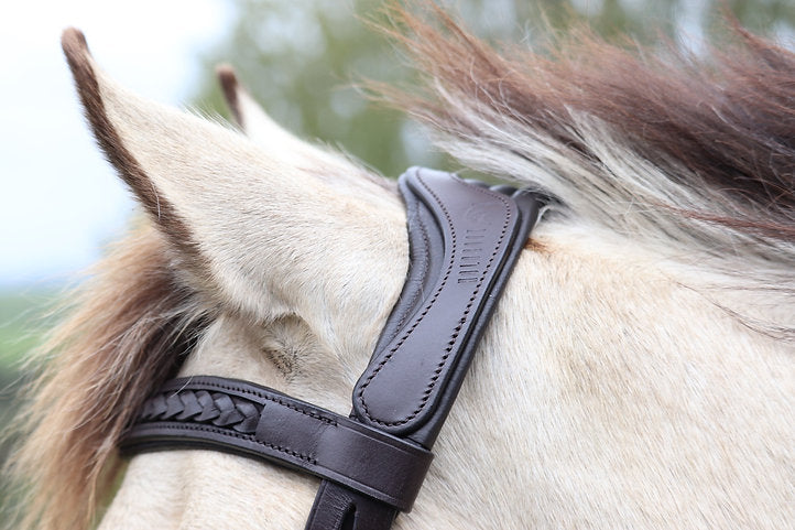 Casimir Bridle