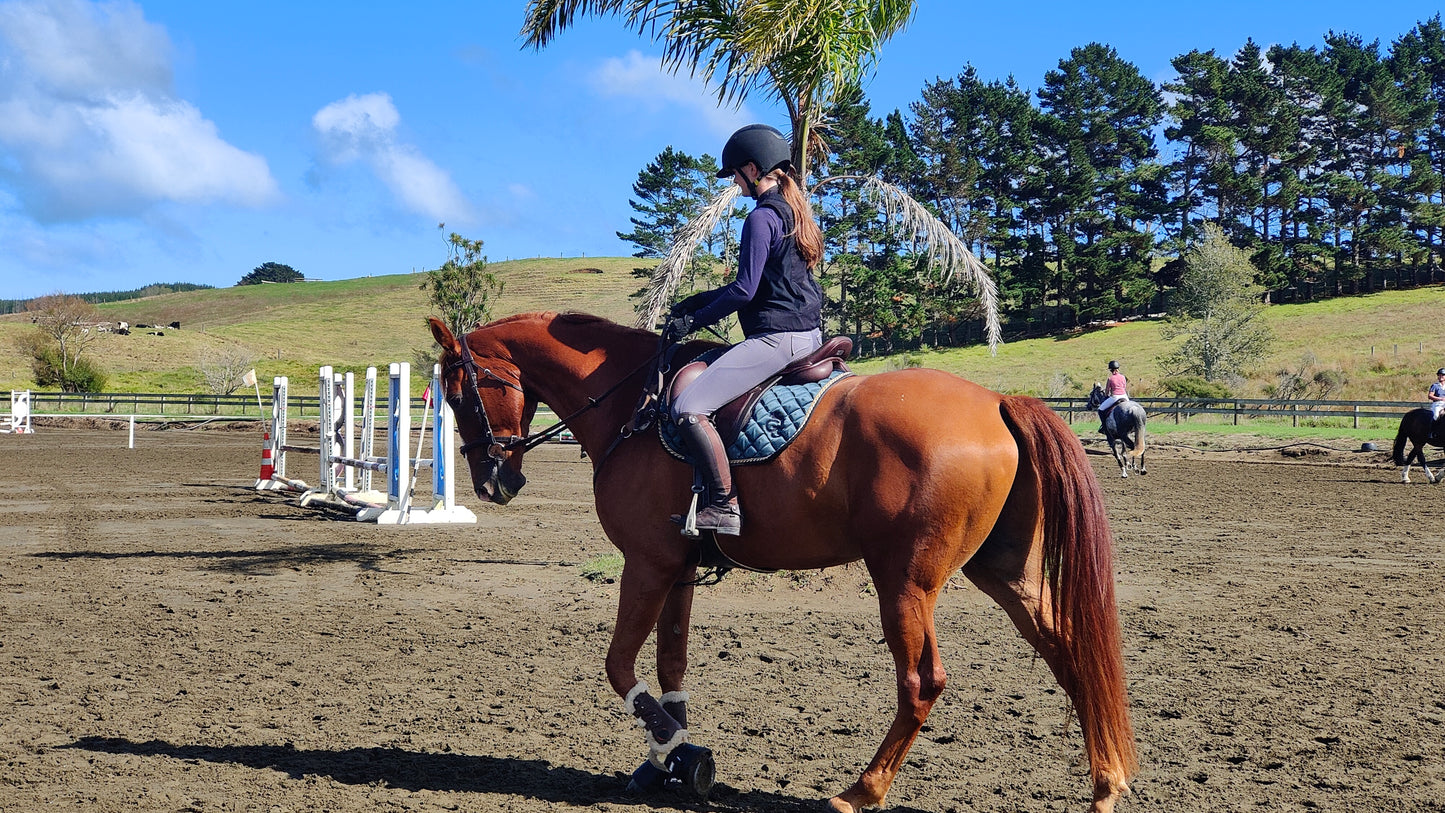 Saddle Pads - Hunter Green
