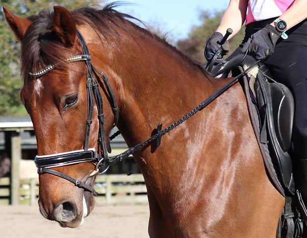 Braided Soft Leather Reins