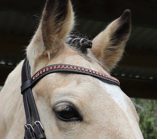 Rose Gold Diamonte Browband