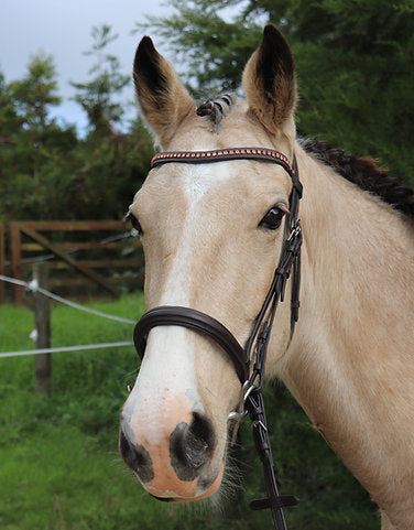 Rose Gold Diamonte Browband