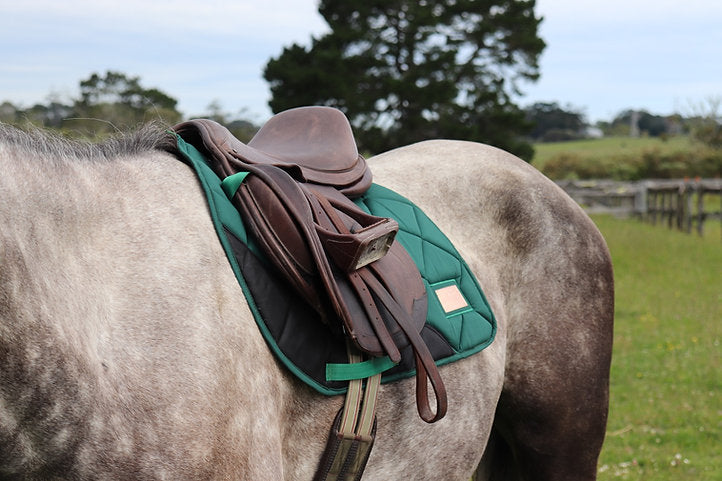 Forest Green Saddle Pad