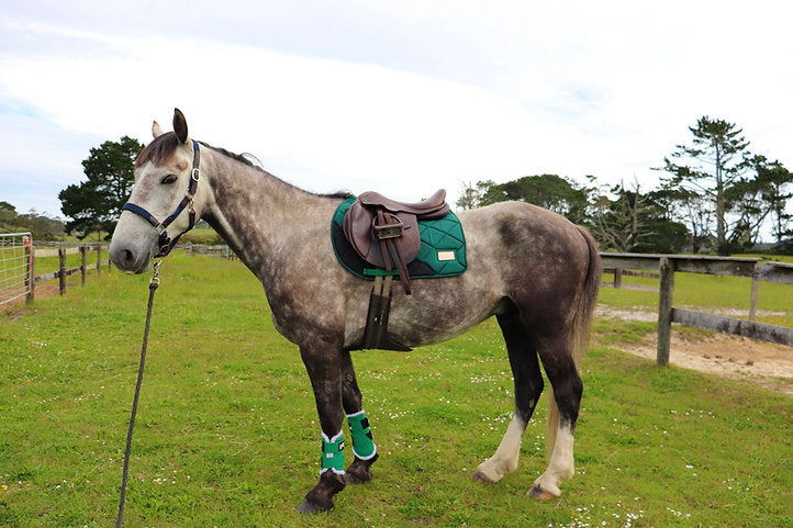 Forest Green Saddle Pad