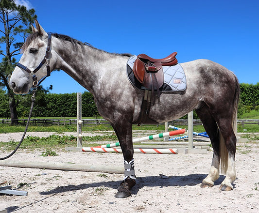 Grey Saddle Pad