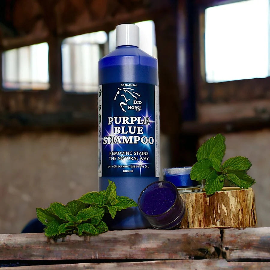 Eco Horse Purple Blue Shampoo